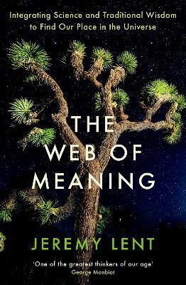 Kniha Web of Meaning