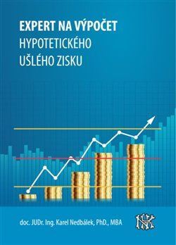 Kniha Expert na ušlý zisk, hypotetický zisk a újmu