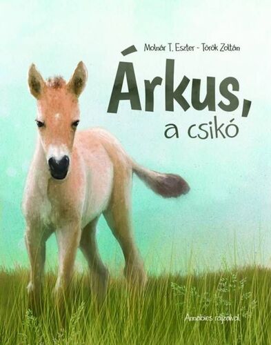 Árkus, a csikó - Zoltán Török,Eszter Molnár