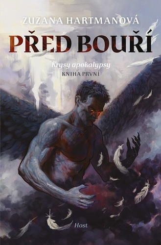 Kniha Před bouří - Zuzana Hartmanová