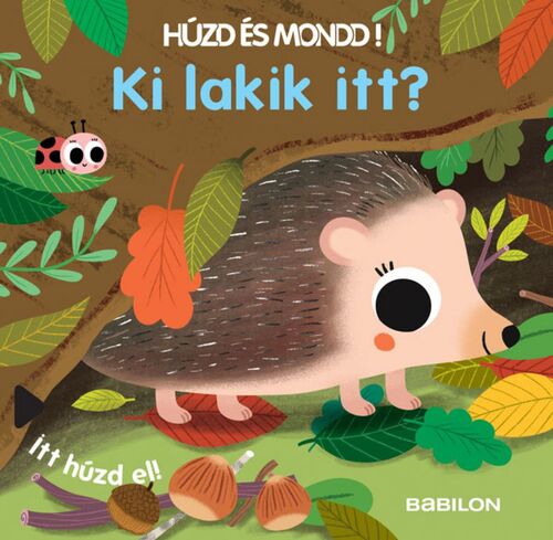 Húzd és mondd! 7: Ki lakik itt?