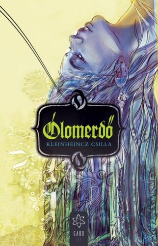 Kniha Ólomerdő - Csilla Kleinheincz