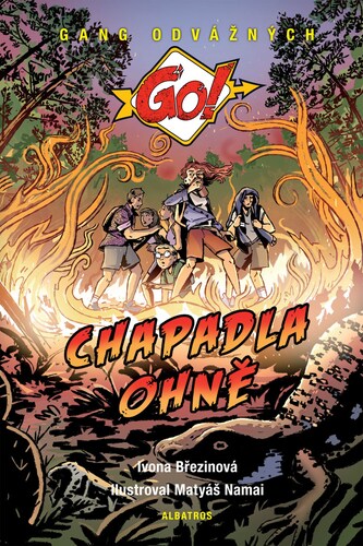 Kniha Chapadla ohně - Ivona Březinová
