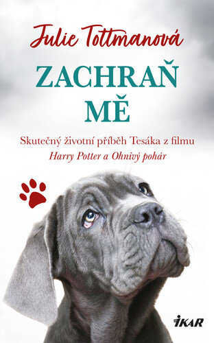 Zachraň mě - Julie Tottmanová