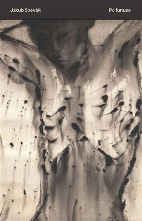 Kniha Po funuse