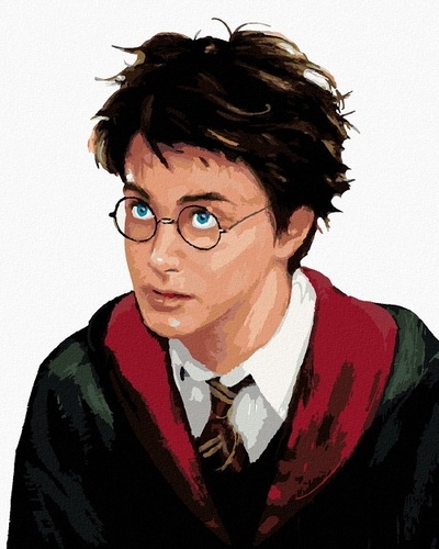 Maľovanie podľa čísel Harry Potter (portrét) 40x50cm Zuty