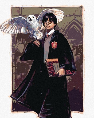 Maľovanie podľa čísel Harry Potter a Hedviga v Rokforte 40x50cm Zuty