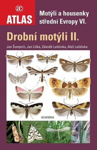 Motýli a housenky střední Evropy VI. - Drobní motýli II. - Kolektív autorov