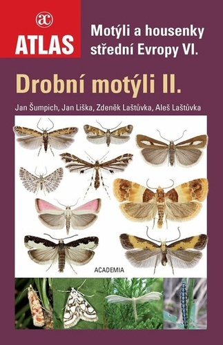 Motýli a housenky střední Evropy VI. - Drobní motýli II.