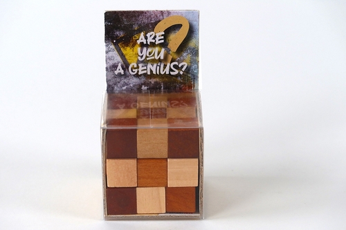 RecentToys Are you a Genius