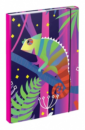 Kniha Baagl Dosky na Školské zošity A4 Chameleon Baagl