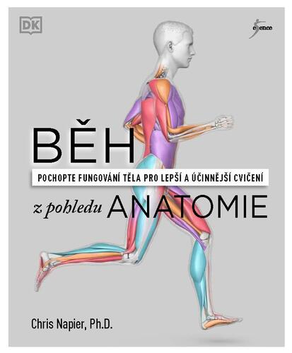 Běh z pohledu anatomie - Chris Napier