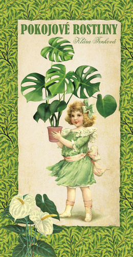 Kniha Pokojové rostliny