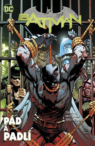 Kniha Batman Pád a padlí