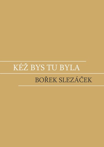 Kniha Kéž bys tu byla - Bořek Slezáček