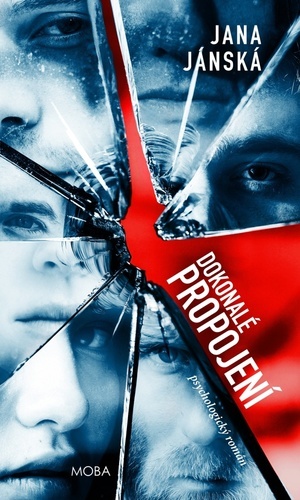 Kniha Dokonalé propojení