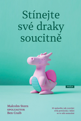 Kniha Stínejte své draky soucitně