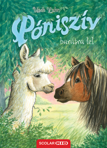 Kniha Póniszív barátra lel - Usch Luhn