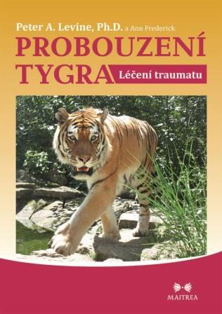 Kniha Probouzení tygra - Frederick Ann,Peter A. Levine