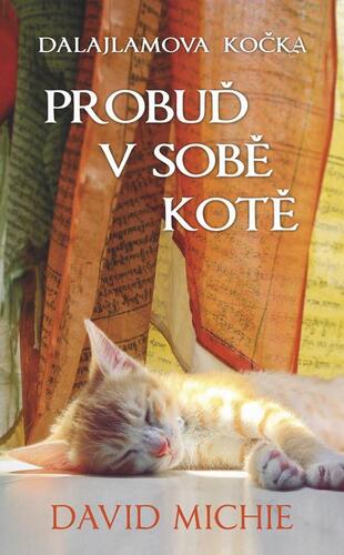 Probuď v sobě kotě