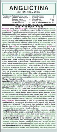 Kniha Angličtina - Súhrn gramatiky