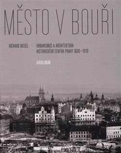 Město v bouři - Richard Biegel