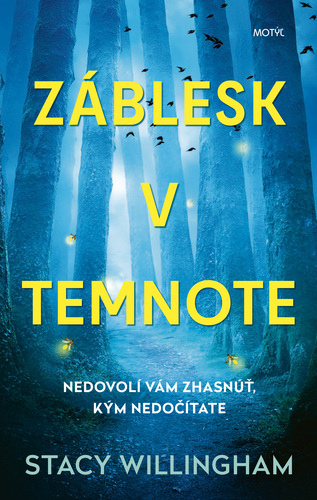 Kniha Záblesk v temnote