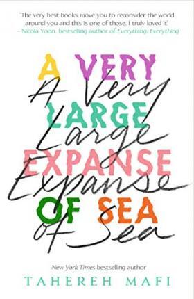 Kniha A Very Large Expanse of Sea