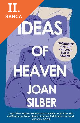 Lacná kniha Ideas of Heaven