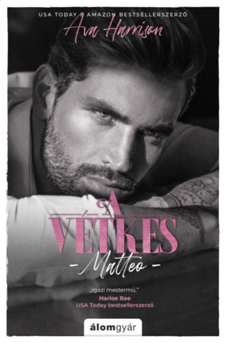 Kniha A vétkes - Matteo - Ava Harrison