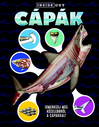 Kniha Cápák - Ismerkedj meg közelebbről a cápákról! - Sophia Willmann