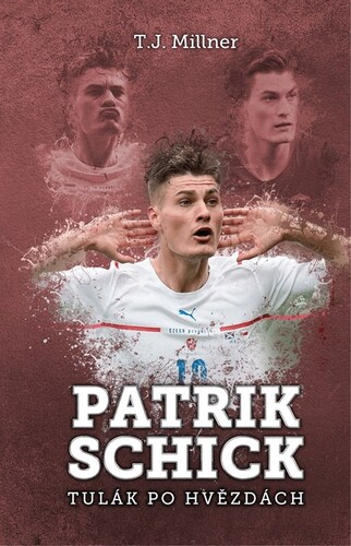 Kniha Patrik Schick - tulák po hvězdách - T.J. Millner