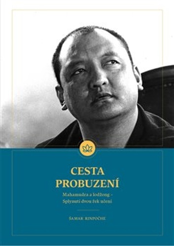 Cesta probuzení - Šamar Rinpočhe