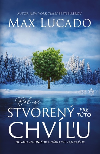 Kniha Bol si stvorený pre túto chvíľu