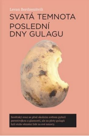Kniha Svatá temnota - Levan Berdzenišvili