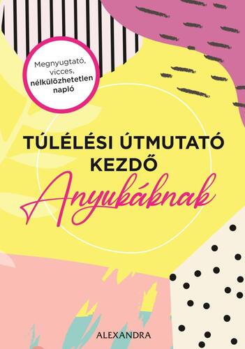 Kniha Túlélési útmutató kezdő anyukáknak - Amy Ransom