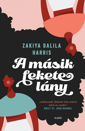 Kniha A másik fekete lány - Zakiya Dalila Harris