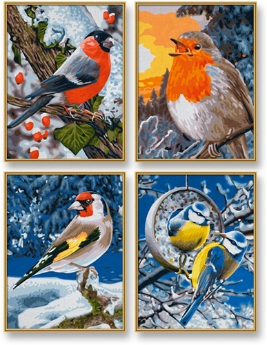 Maľovanie podľa čísel Zimné vtáky (4 obrazy 18x24 cm) Schipper