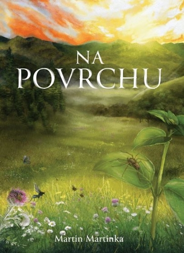 Na povrchu - Martin Martinka