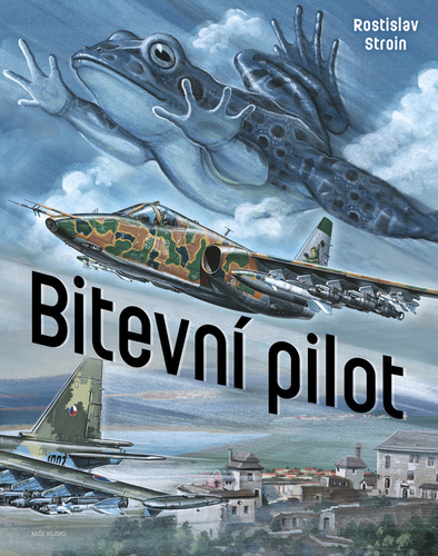 Kniha Bitevní pilot