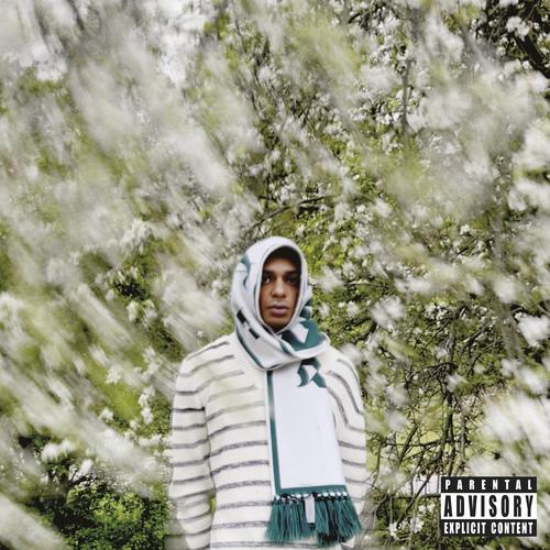 Kniha Blako - Bloom CD