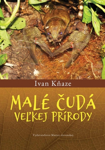 Malé čudá veľkej prírody - Ivan Kňaze