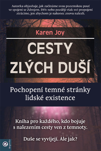 Kniha Cesty zlých duší - Pochopení temné stránky lidské existence