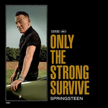 Kniha Springsteen Bruce - Only The Strong Survive CD