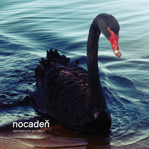 Kniha Nocadeň - Nestrieľajte do labutí LP