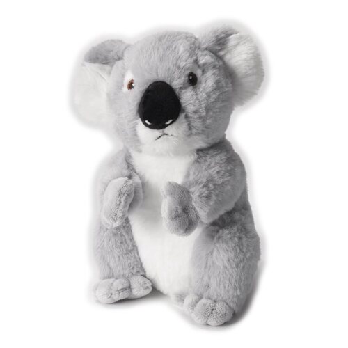 Play Eco Koala