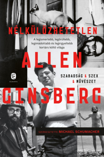 Kniha Nélkülözhetetlen Allen Ginsberg - Allen Ginsberg