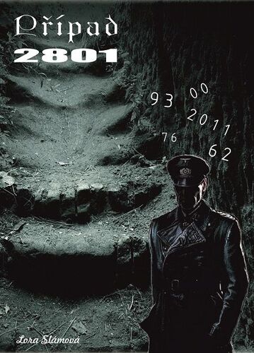 Kniha Případ 2801 - Lora Slámová