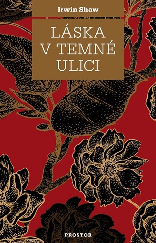 Kniha Láska v temné ulici - Irwin Shaw