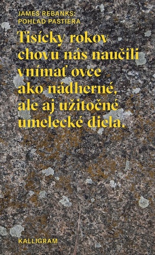 Pohľad pastiera